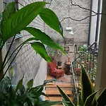 Hostel Hostel, Goscinne Mleczarnia - Ozonowane Wroclaw