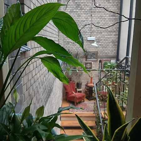 Vandrerhjem Hostel, Goscinne Mleczarnia - Ozonowane Wrocław