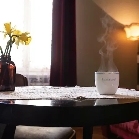 Hostel, Goscinne Mleczarnia - Ozonowane * Wrocław
